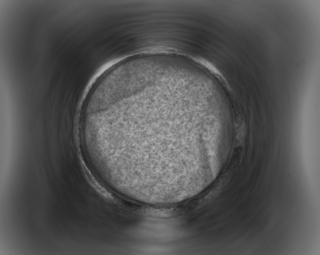 X0000082961086200703020207