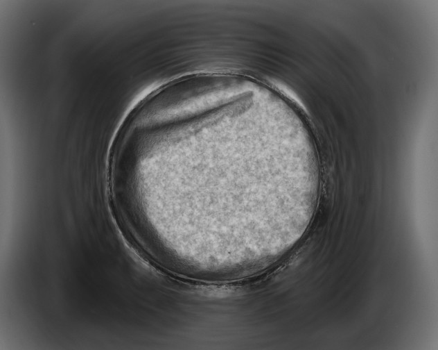 X0000082961087200703020207