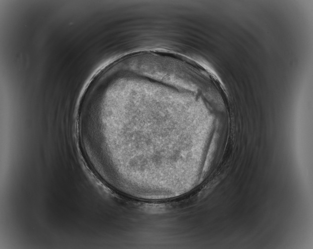 X0000082961088200703020207