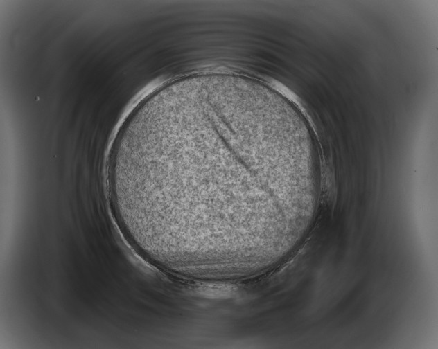 X0000082961090200703020207