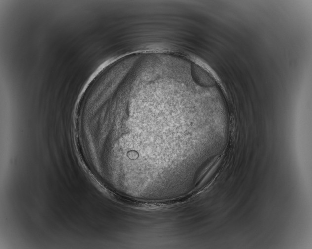 X0000082961091200703020207