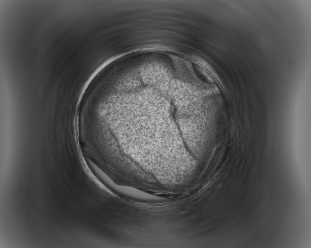 X0000082961092200703020207