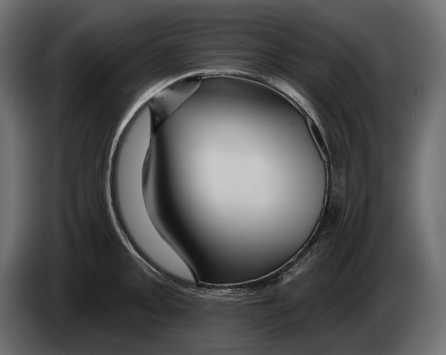 X0000082961093200703020207