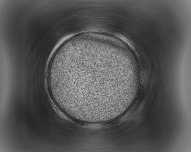 X0000082961094200703020207