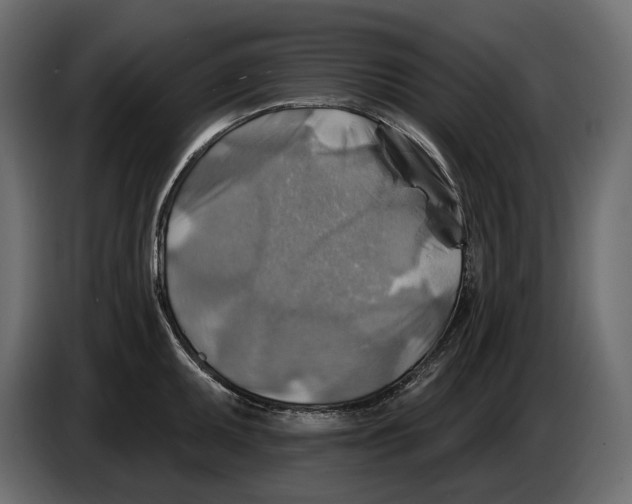 X0000082961095200703020207