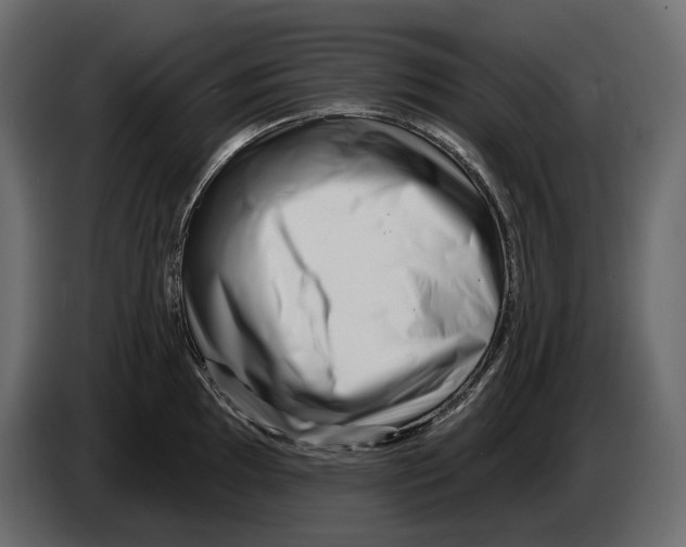 X0000082961097200703020207