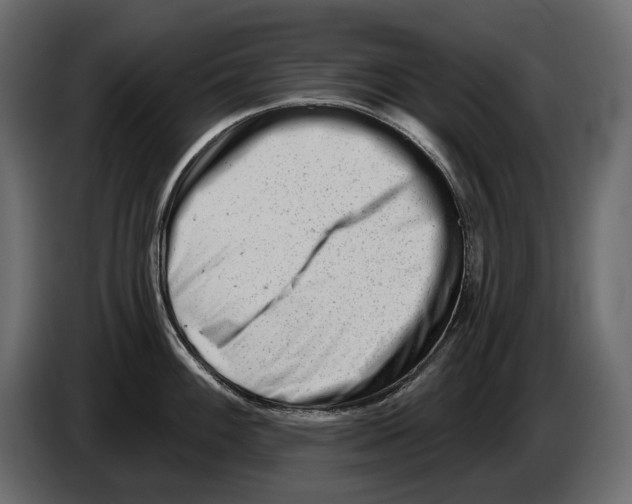 X0000082961100200703020207