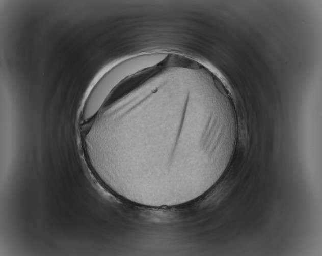 X0000082961102200703020207