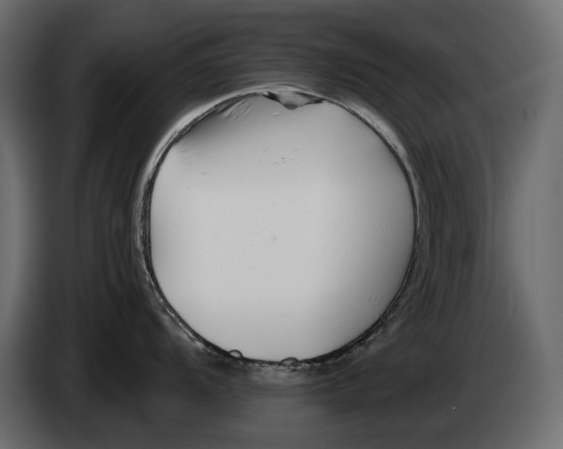 X0000082961104200703020207