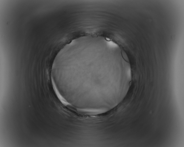 X0000082961106200703020206