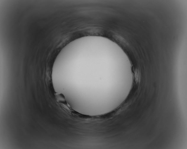 X0000082961107200703020206