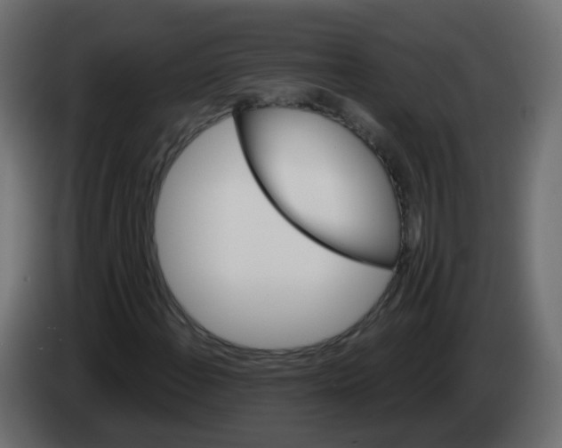 X0000082961108200703020206