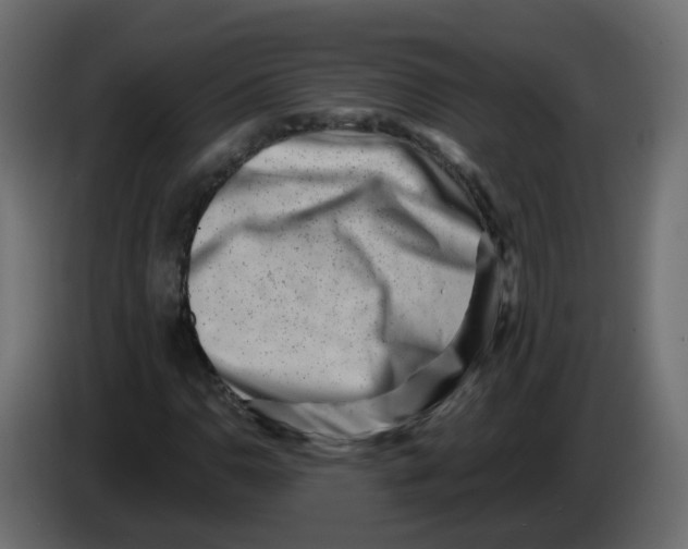 X0000082961110200703020206