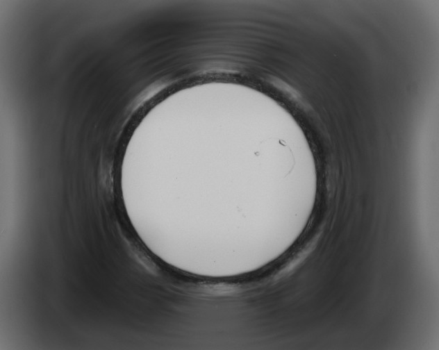 X0000082961113200703020206