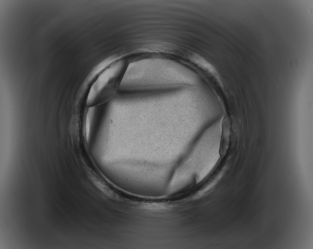 X0000082961114200703020206