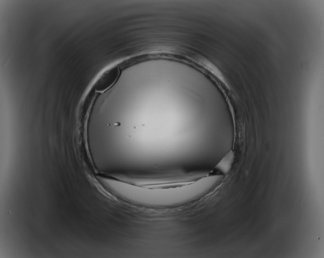 X0000082961116200703020206