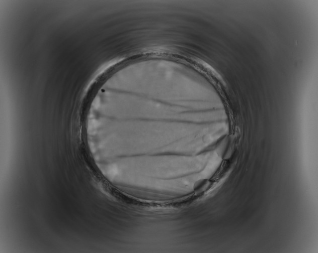 X0000082961117200703020206