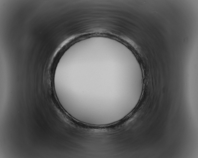 X0000082961118200703020206