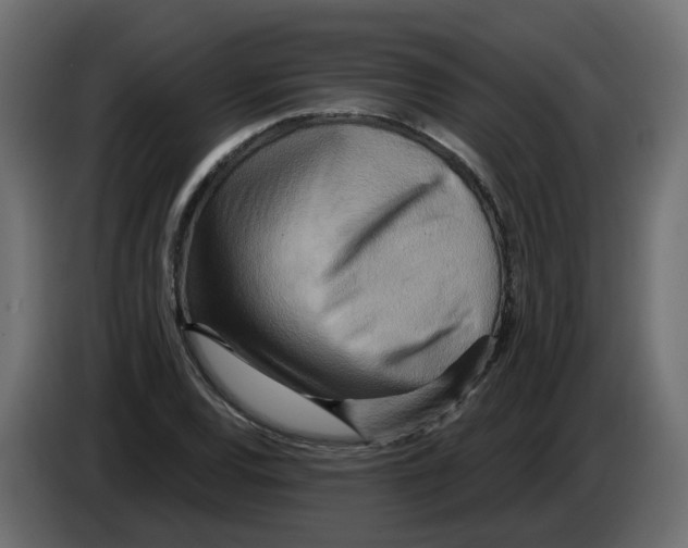 X0000082961120200703020206