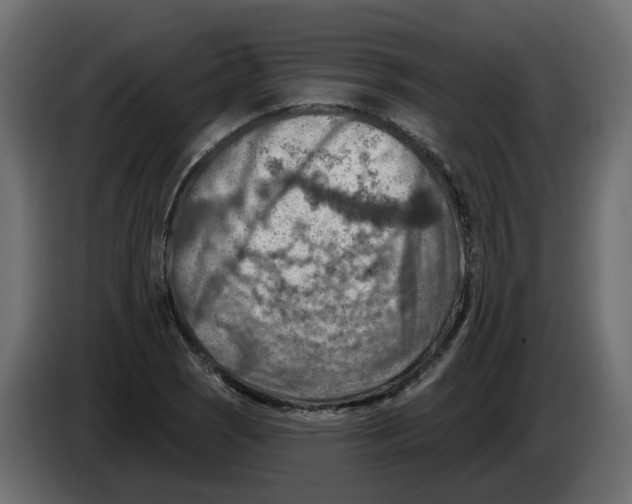 X0000082961121200703020206