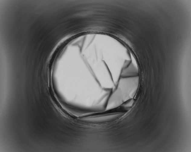 X0000082961123200703020206