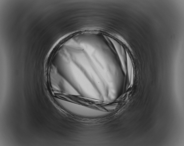 X0000082961124200703020206