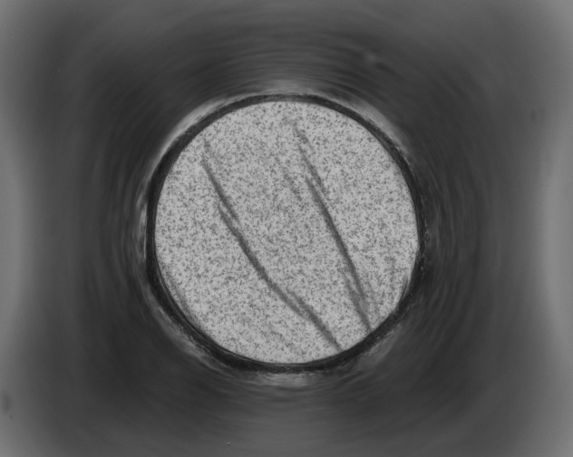 X0000082961126200703020206