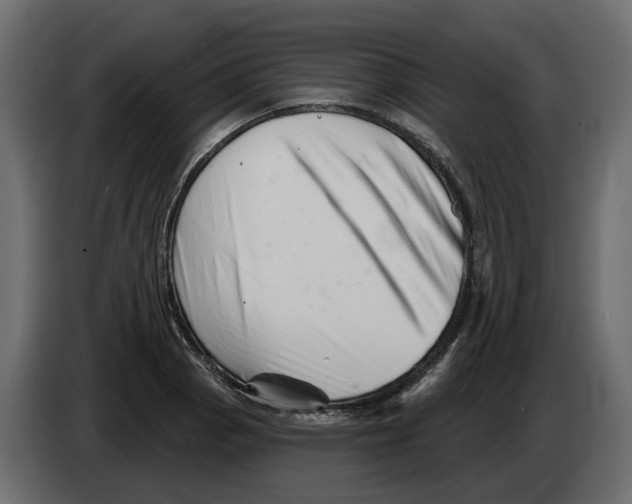 X0000082961129200703020206