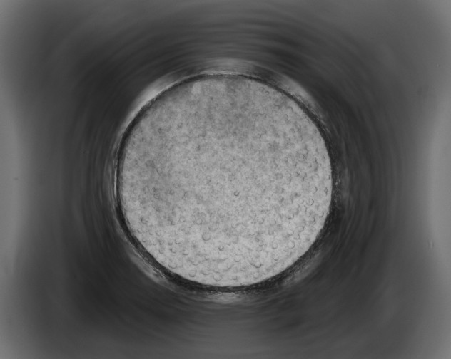 X0000082961130200703020206