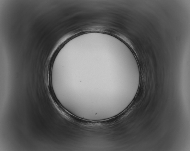 X0000082961131200703020206