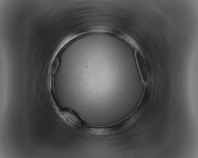 X0000082961132200703020206