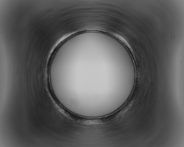 X0000082961133200703020206