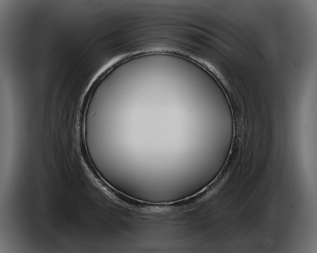 X0000082961134200703020206