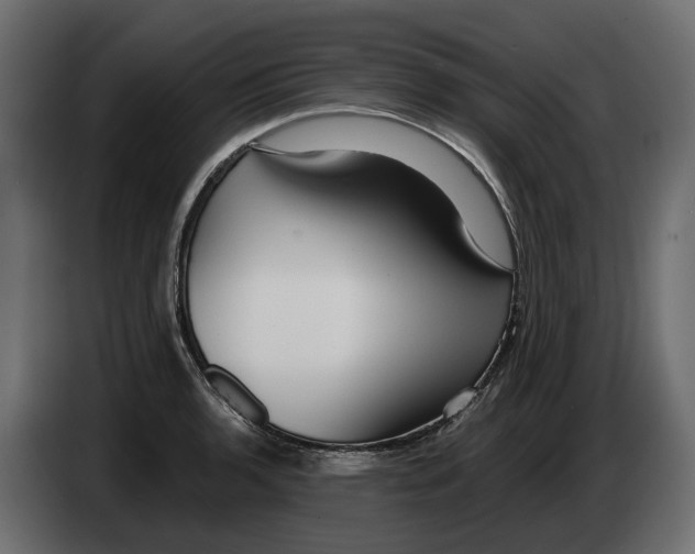 X0000082961136200703020206