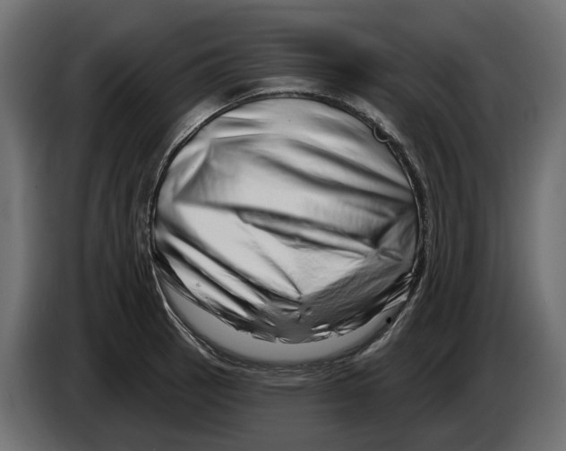 X0000082961137200703020206