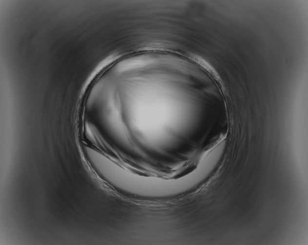 X0000082961138200703020206