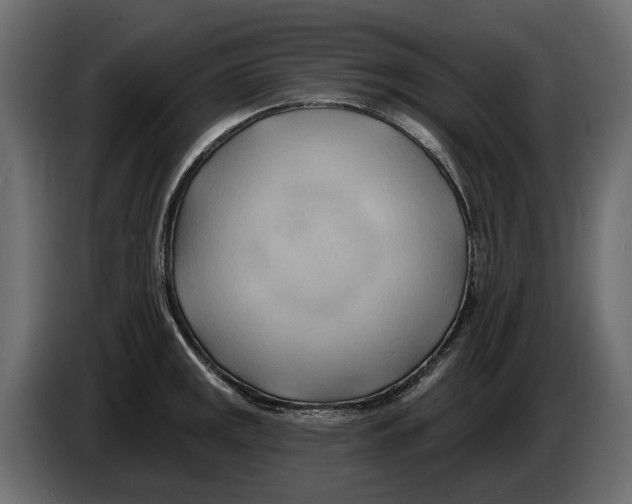 X0000082961141200703020207