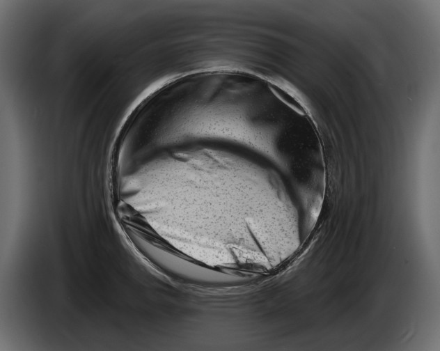 X0000082961142200703020207