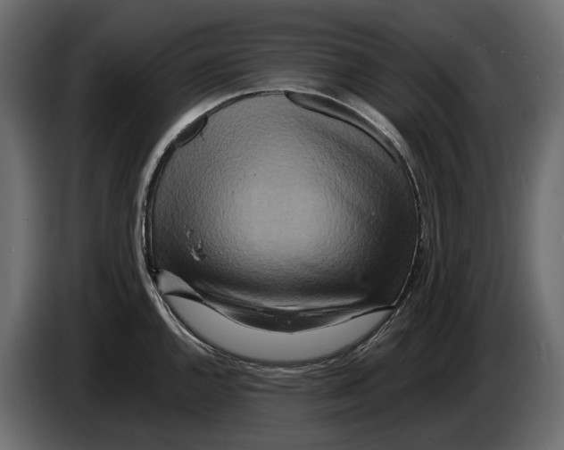 X0000082961144200703020207