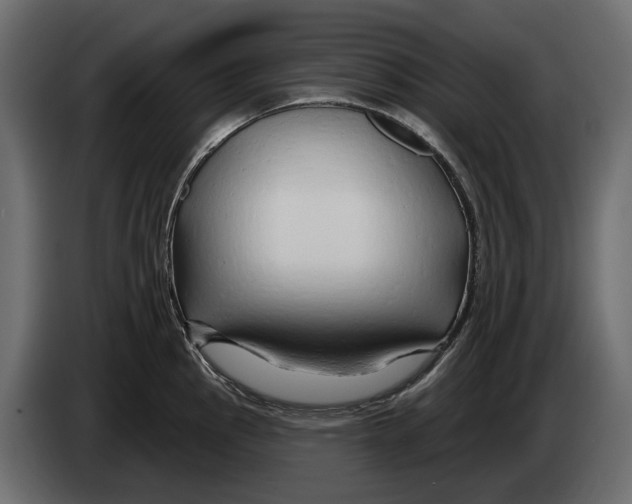 X0000082961145200703020207