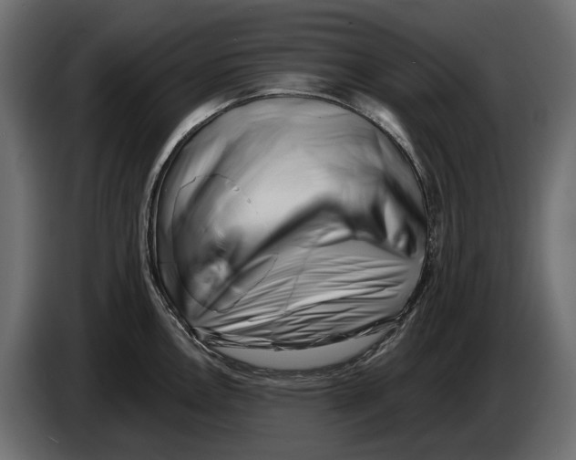 X0000082961146200703020207