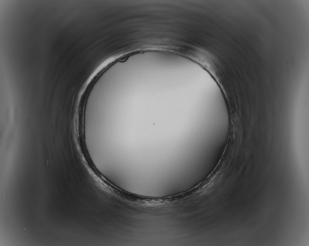 X0000082961147200703020207