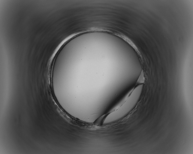 X0000082961148200703020207