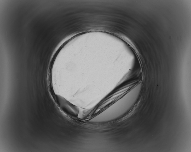 X0000082961149200703020207