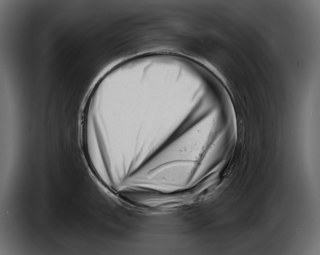 X0000082961151200703020207