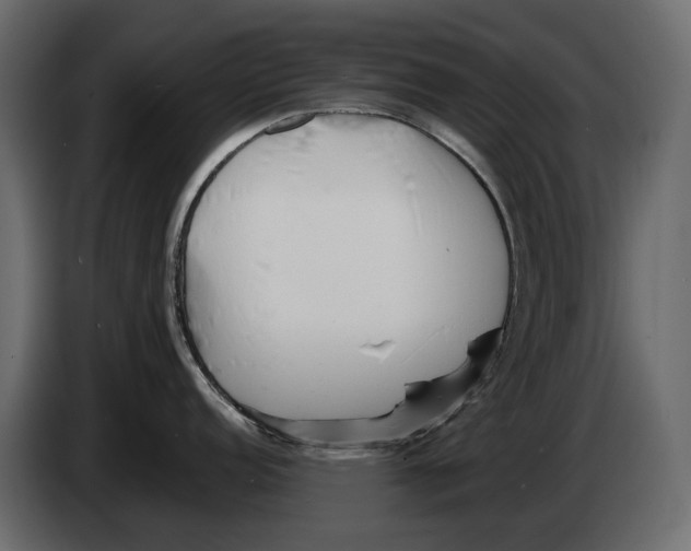 X0000082961152200703020207