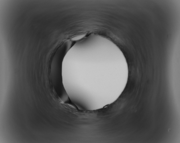 X0000082961153200703020206