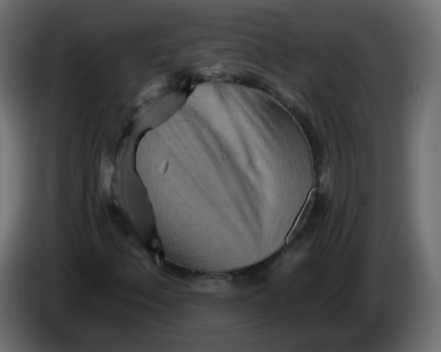 X0000082961156200703020206