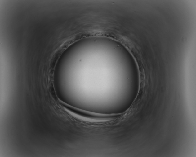 X0000082961157200703020206