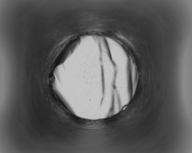 X0000082961159200703020206